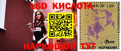 СК Будённовск