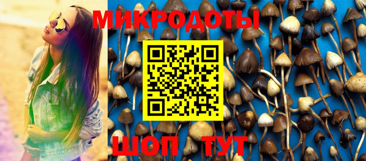 Галлюциногенные грибы мухоморы Тында