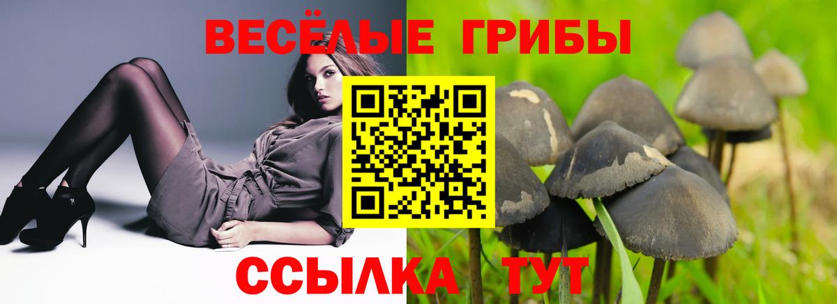 Псилоцибиновые грибы MAGIC MUSHROOMS  Галлюциногенные грибы GOLDEN TEACHER  Вход с VPN  Тында 
